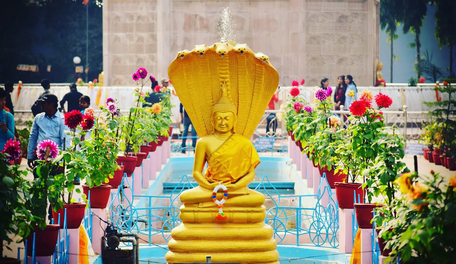 Gaya